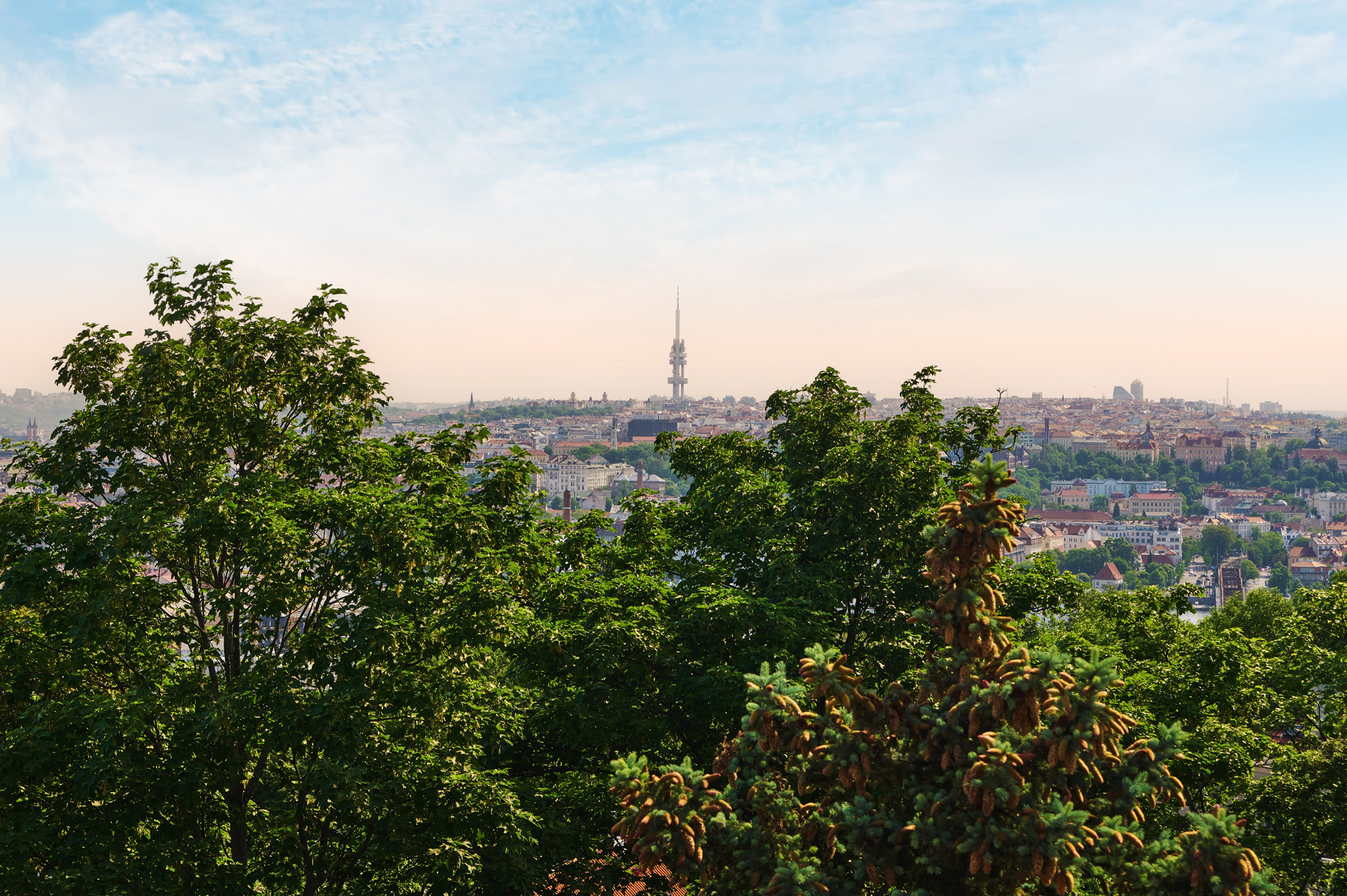 VM Clinics Malvazinky